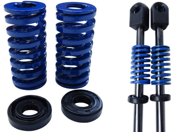 Standard Trunk Springs